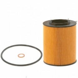 Bosch Oil Filter 09864B7017