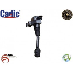 Ignition Coil FORD Cadic 45002025