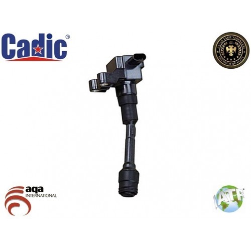 Ignition Coil FORD Cadic 45002025