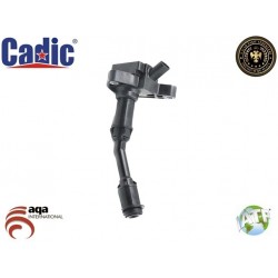 Ignition Coil FORD Cadic 45002026 Ignition Coil FORD Cadic 45002026