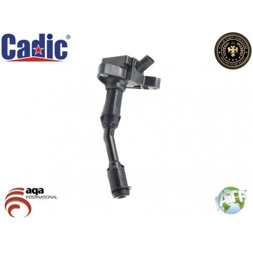 Ignition Coil FORD Cadic 45002026