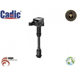 Ignition Coil FORD Cadic 45002066 Ignition Coil FORD Cadic 45002066