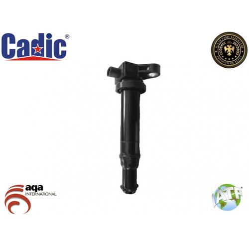 Ignition Coil ACCENT Cadic 45003267