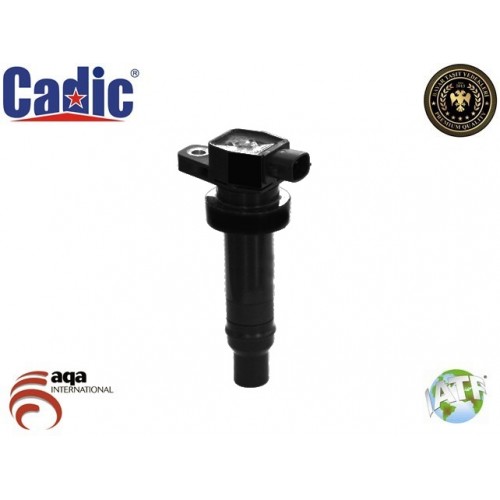 Ignition Coil ACCENT Cadic 45003270