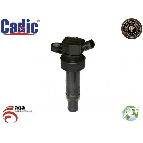 Ignition Coil HYUNDAI Cadic 45003273 Ignition Coil HYUNDAI Cadic 45003273
