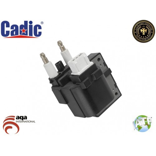 Ignition Coil LAGUNA Cadic 45004021