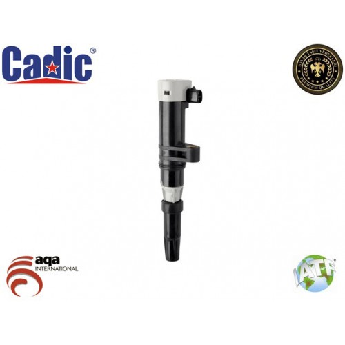 Ignition Coil RENAULT Cadic 45004177