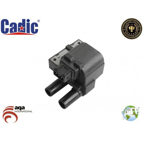 Ignition Coil RENAULT Cadic 45004589