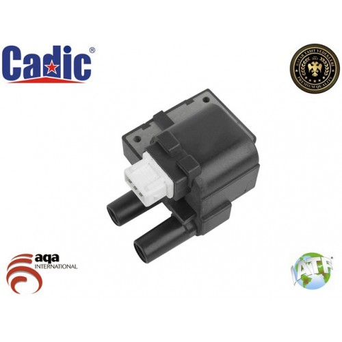 Ignition Coil RENAULT Cadic 45004643