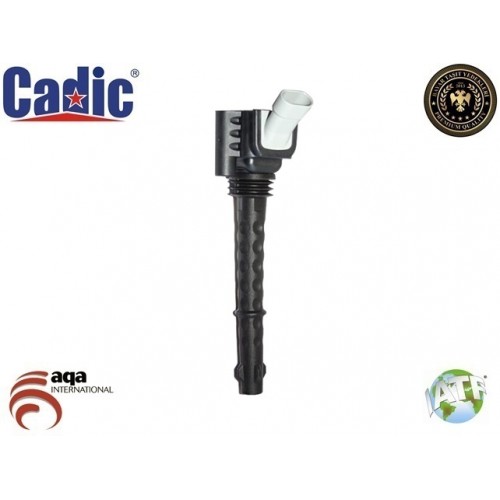 Ignition Coil FIAT Cadic 45005855