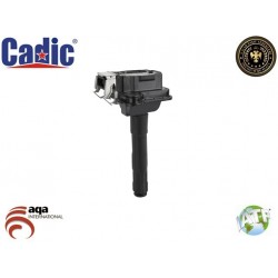 Ignition Coil PASSAT Cadic 45006101 Ignition Coil PASSAT Cadic 45006101