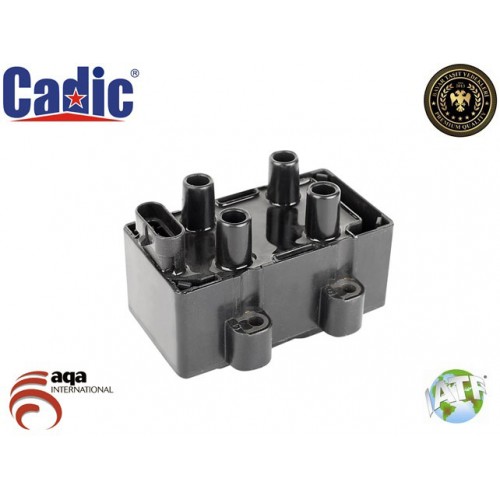 Ignition Coil RENAULT Cadic 45015008