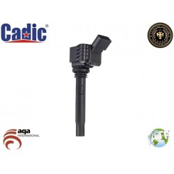 Ignition Coil AUDI Cadic 45031199 Ignition Coil AUDI Cadic 45031199