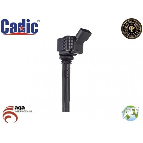 Ignition Coil AUDI Cadic 45031199