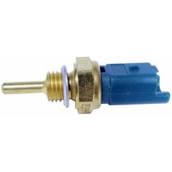 Exterior Temperature Sensor Delphi TS10252