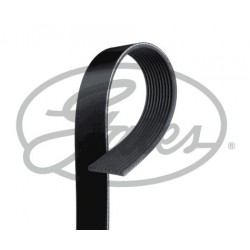 Ribbed V Belt Gates 10PK1163AHD Ribbed V Belt Gates 10PK1163AHD