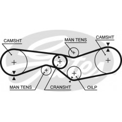 Timing Belt  Gates 5012 Timing Belt  Gates 5012