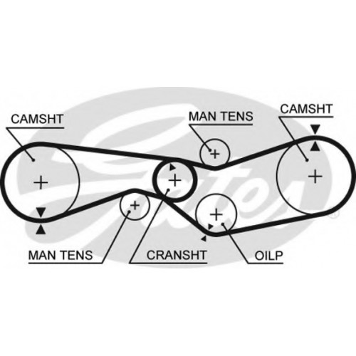 Timing Belt  Gates 5012