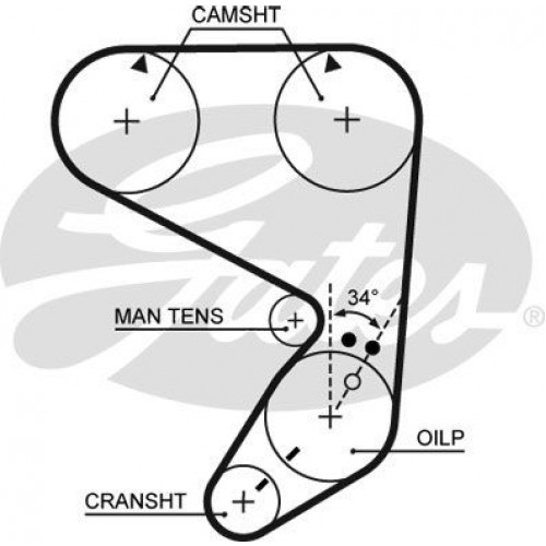 Timing Belt  Gates 5022