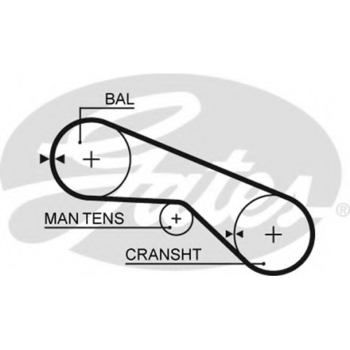 Timing Belt  Gates 5025