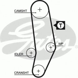 Timing Belt  Gates 5035 Timing Belt  Gates 5035