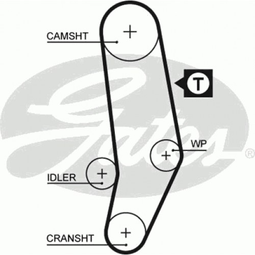 Timing Belt  Gates 5035