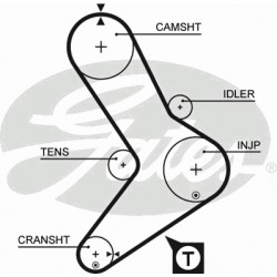 Timing Belt  Gates 5039 Timing Belt  Gates 5039