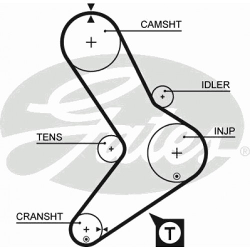 Timing Belt  Gates 5039