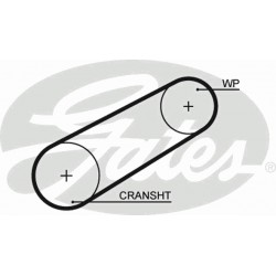 Timing Belt  Gates 5042 Timing Belt  Gates 5042