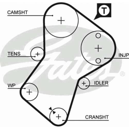 Timing Belt  Gates 5049XS