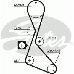 Timing Belt  Gates 5056 Timing Belt  Gates 5056