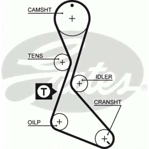Timing Belt  Gates 5056
