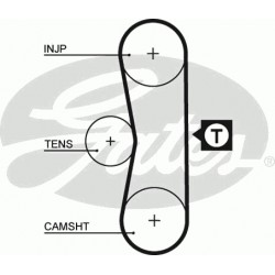 Timing Belt  Gates 5062 Timing Belt  Gates 5062