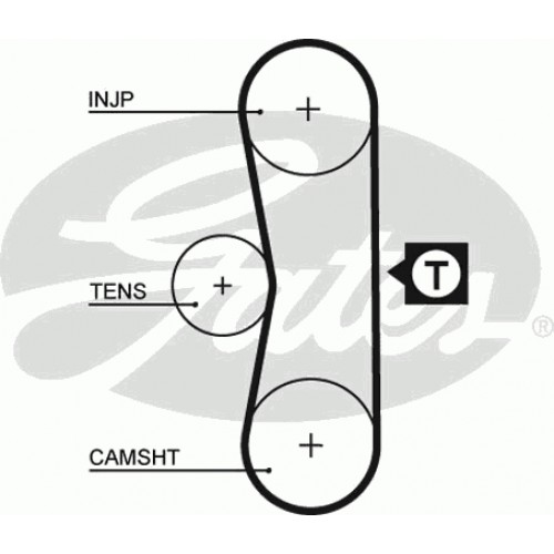 Timing Belt  Gates 5062