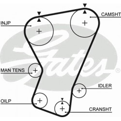 Timing Belt  Gates 5065