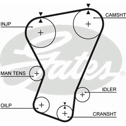 Timing Belt  Gates 5065