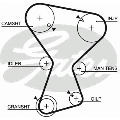 Timing Belt  Gates 5072