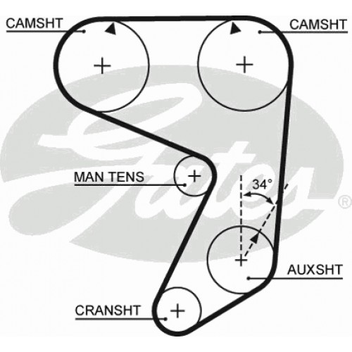Timing Belt  Gates 5081