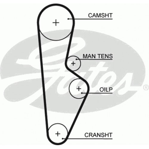 Timing Belt  Gates 5082XS