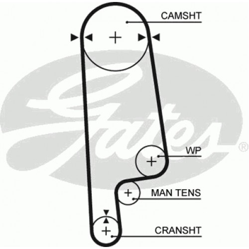 Timing Belt  Gates 5084XS