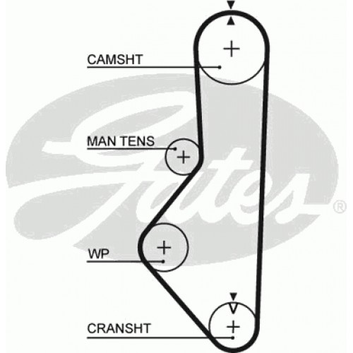 Timing Belt  Gates 5085