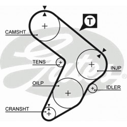 Timing Belt  Gates 5087 Timing Belt  Gates 5087