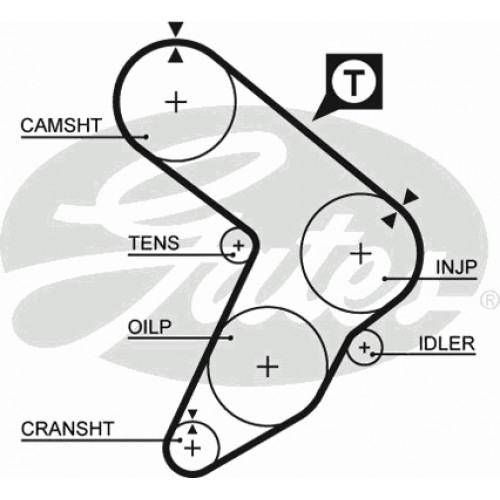 Timing Belt  Gates 5087