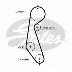 Timing Belt  Gates 5090 Timing Belt  Gates 5090