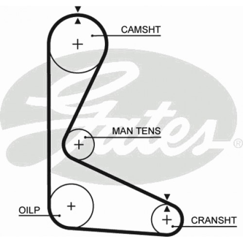 Timing Belt  Gates 5103