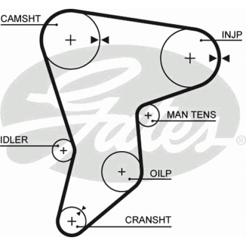 Timing Belt  Gates 5133