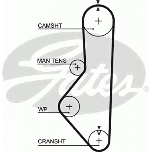 Timing Belt  Gates 5149XS