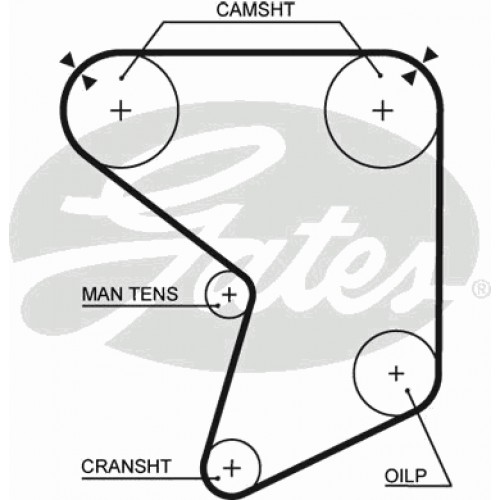 Timing Belt  Gates 5166