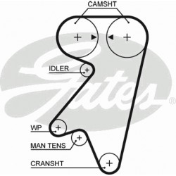 Timing Belt  Gates 5191 Timing Belt  Gates 5191