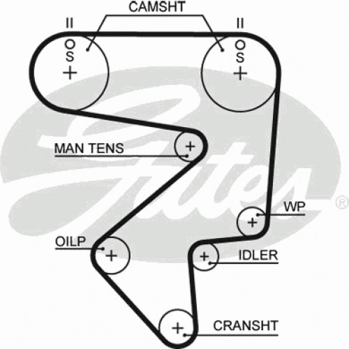 Timing Belt  Gates 5194XS